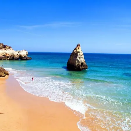 Amoreira Alvor